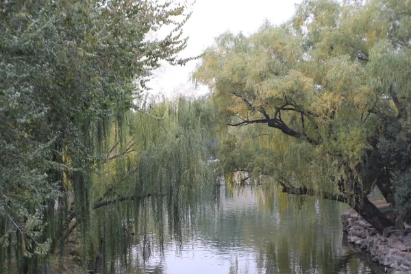 Beijing Garden